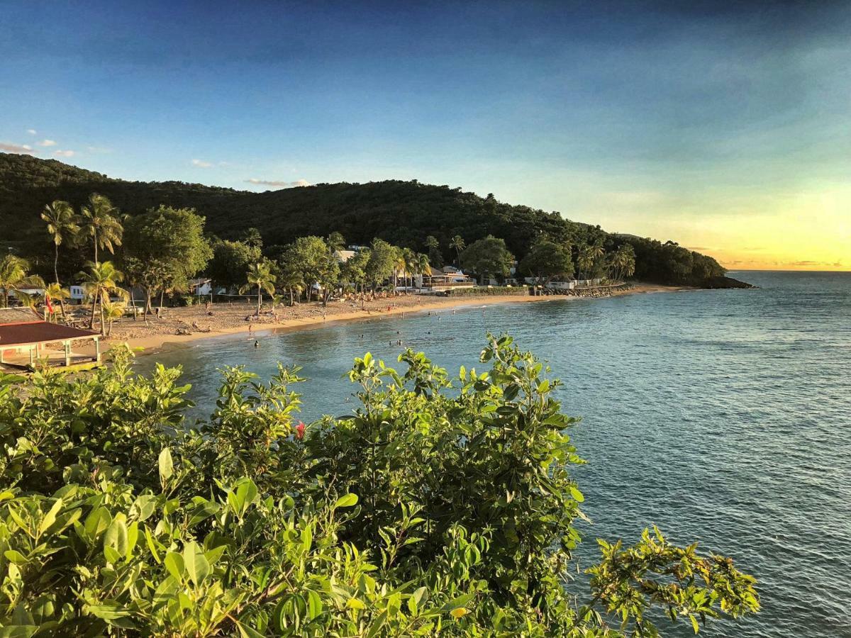Gites Atemoya. Petit Bas Vent Fort Royal. Deshaies Dış mekan fotoğraf